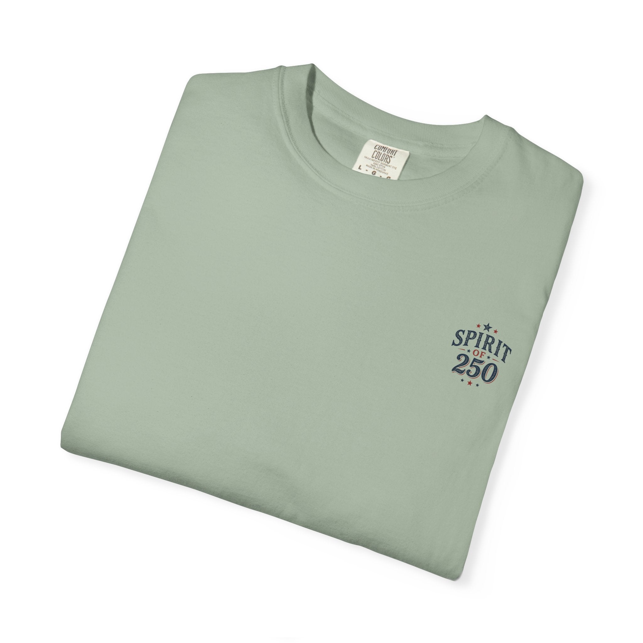 Patriotic Graphic T-Shirt – “Old Enough to Know Better, American Enough Not to Care”